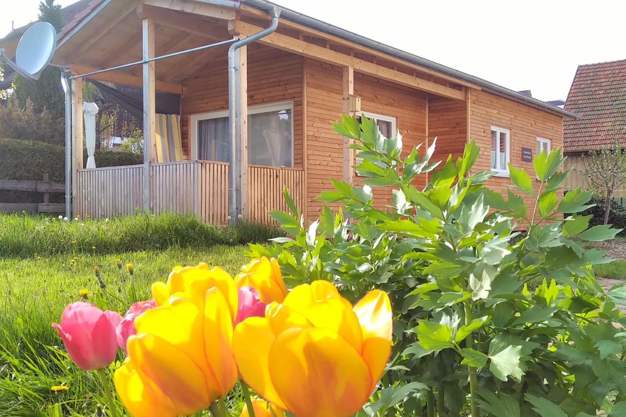 Tiny-Ferienhaeusle Casa Wendy Villa Loßburg Eksteriør billede